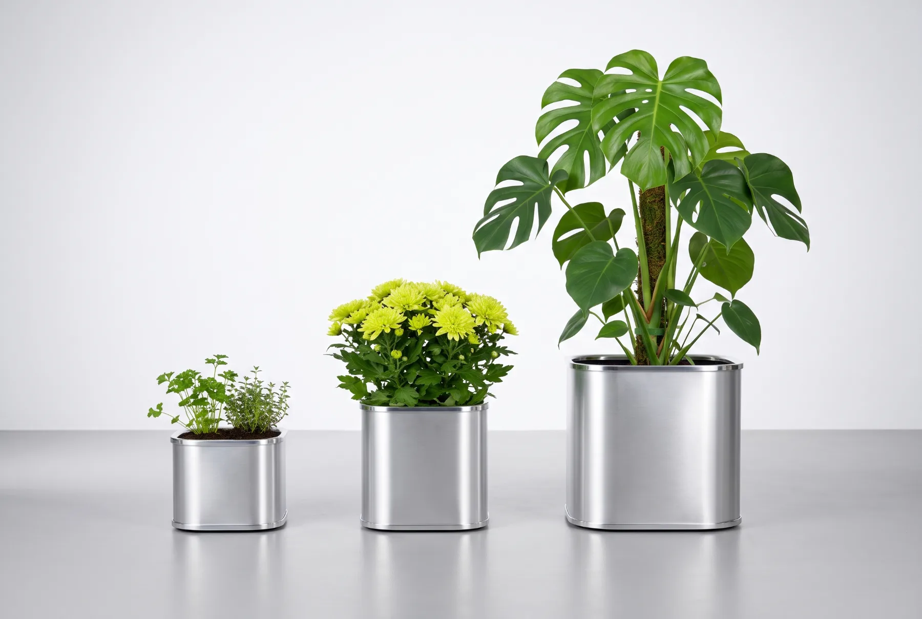 Sized to suit each plant (AI-generated concept visual)